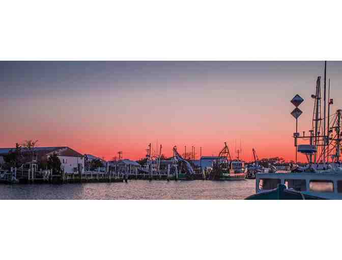 Enjoy 5 nights luxury condo @ Coconut Malorie Resort, Ocean City, MD