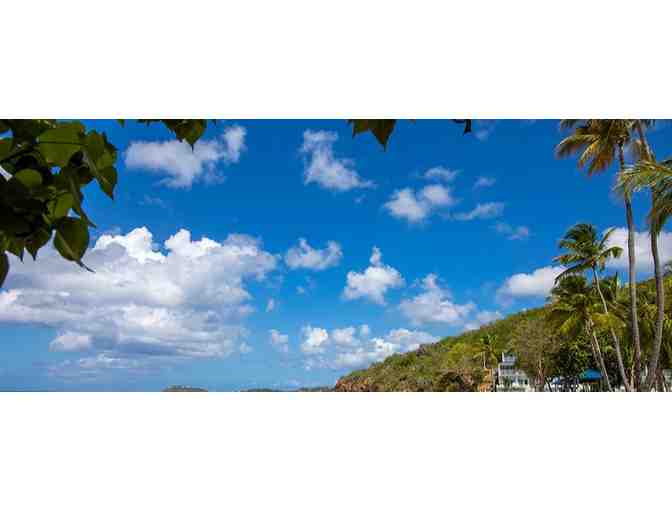 Enjoy 5 nights luxury condo @ Limetree Beach Resort by Club Wyndham, St. Thomas, VI