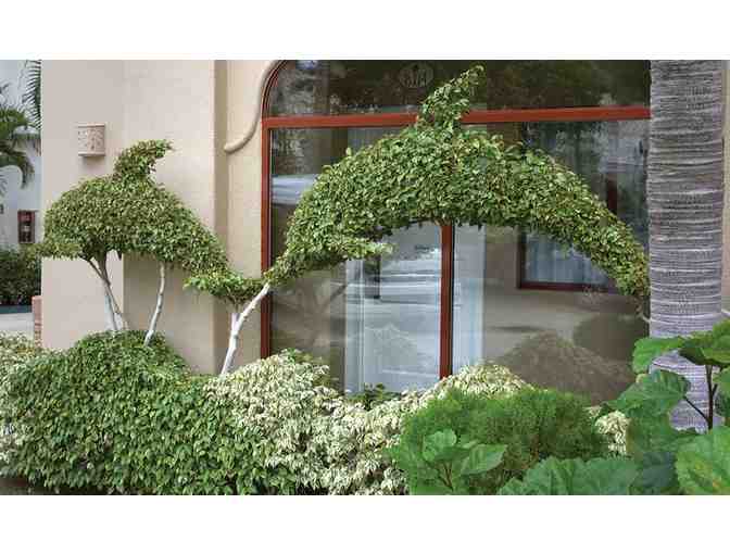 Enjoy 5 nights luxury condo @ WorldMark Coral Baja San Jose Del Cabo