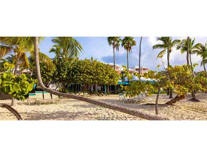 Enjoy 5 nights luxury condo @ WorldMark Elysian Beach Resort St Thomas Virgin Islands