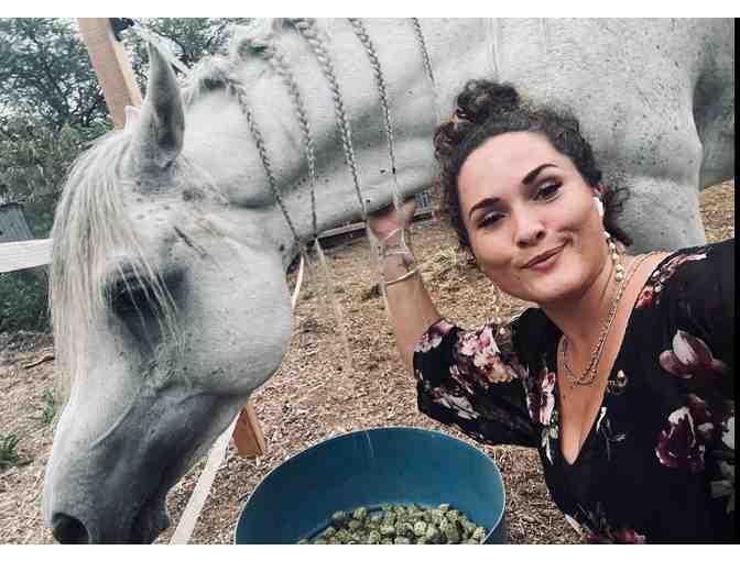 7-Night 3 Bedroom Oahu Oceanview Home + Horse Back Riding Experience