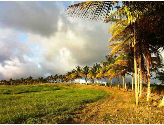 7-Night Stay at Eco Lifestyle Lodge in Barbados
