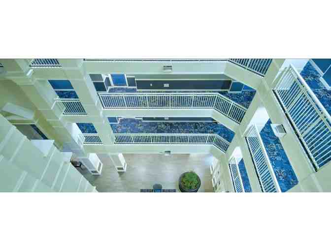 Enjoy 5 nights luxury condo @ Club Wyndham Old Town Alexandria, Alexandria, VA + Aslin Bee