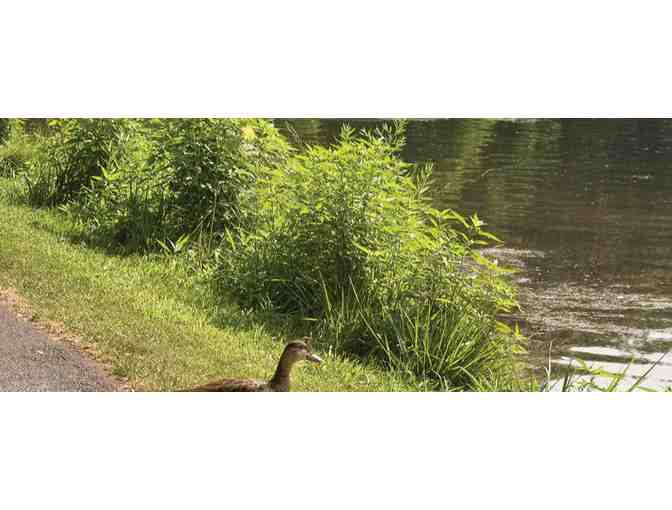 Enjoy 5 nights luxury condo @ Club Wyndham Tamarack, Wisconsin Dells, WI + Wollersheim Win - Photo 14