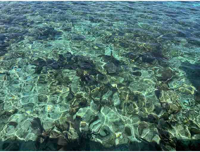 5 nighs luxury Secluded Island off Belieze for up to 6 Guests! + Gift - Photo 7