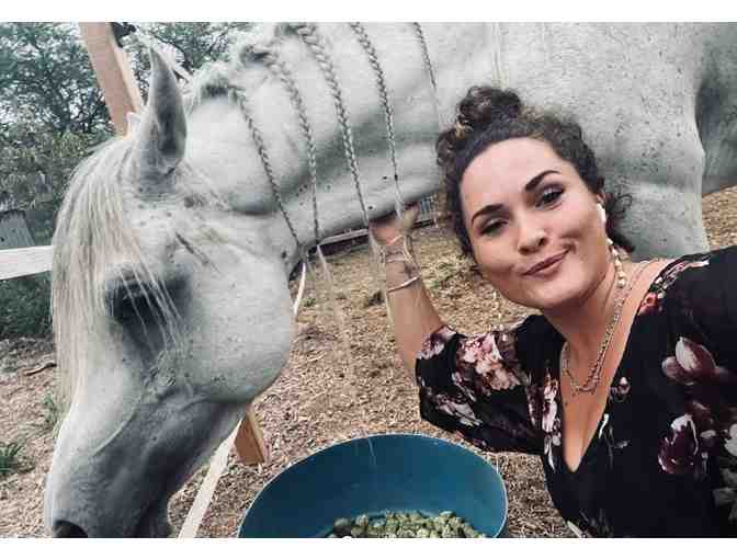 7-Night 3 Bedroom Oahu Oceanview Home + Horse Back Riding Experience + Gift - Photo 2