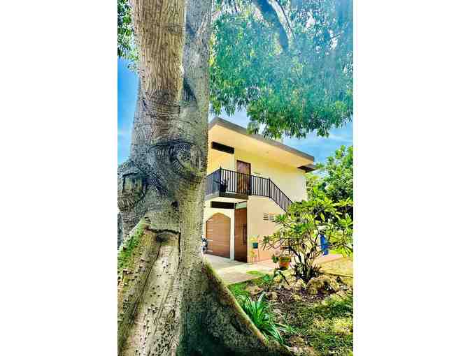 Puerto Rico 5-Night Oceanview Golf Getaway for 4 + Gift - Photo 4