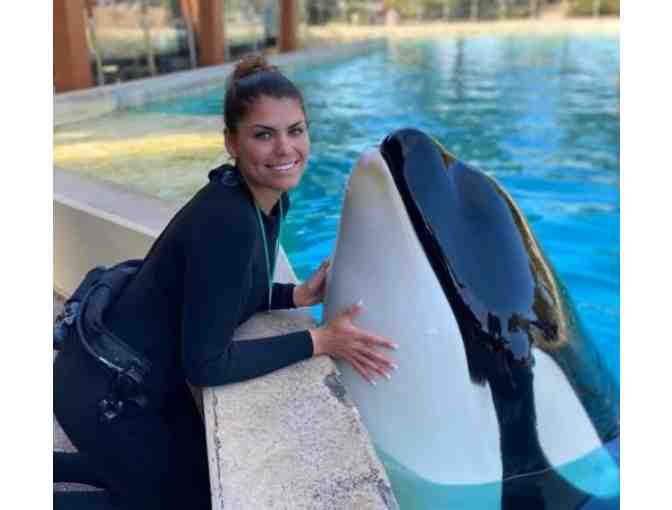 SeaWorld San Diego Trainer Experience & 5-Night 2 bedroom Del Mar Stay + Gift - Photo 1