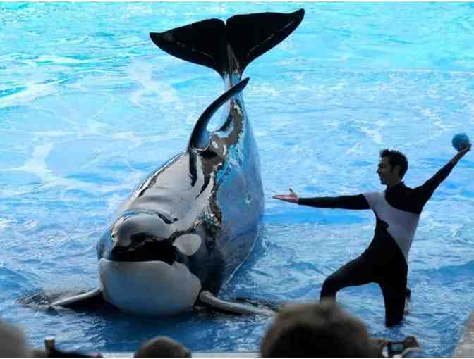 SeaWorld San Diego Trainer Experience & 5-Night 2 bedroom Del Mar Stay + Gift - Photo 3