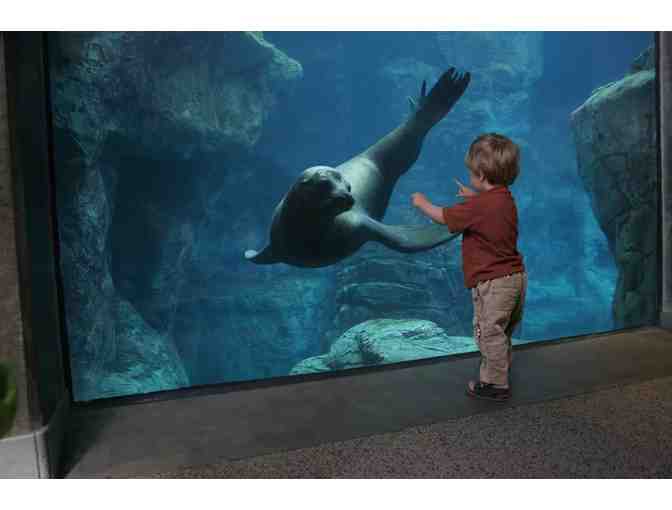 5 night San Diego VIP Aquaium and Tide Pools Expereince + Gift - Photo 3