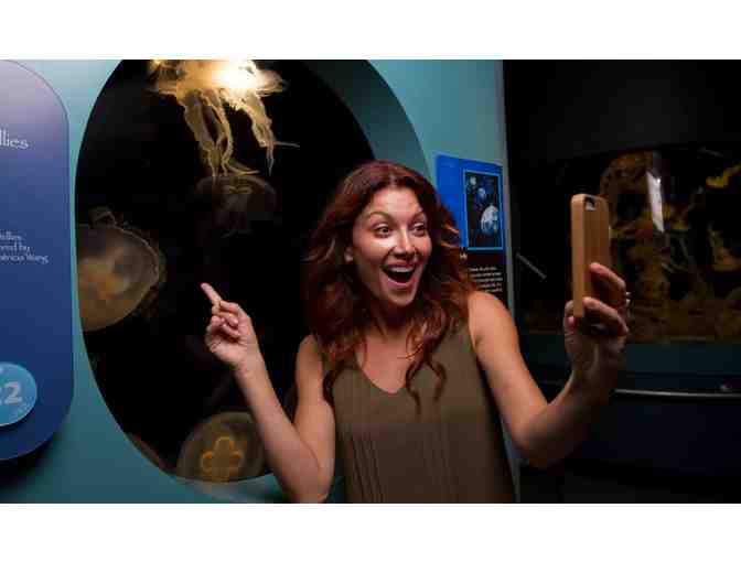 5 night San Diego VIP Aquaium and Tide Pools Expereince + Gift - Photo 5