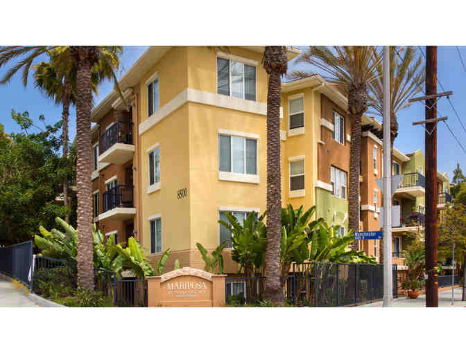 5 nights Playa Del Rey + Whale Watching Experience + Gift - Photo 6