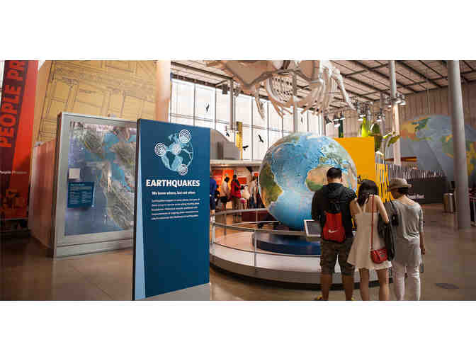 Behind the Scenes Tour of the California Academy of Sciences for 4