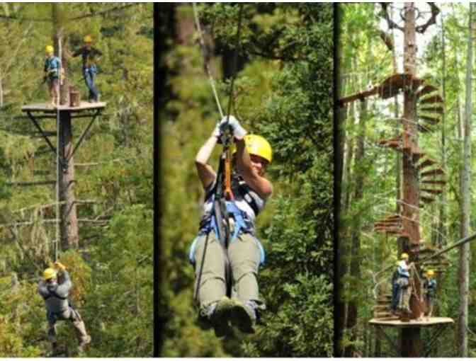 2 Zipline Canopy Tours in Sonoma