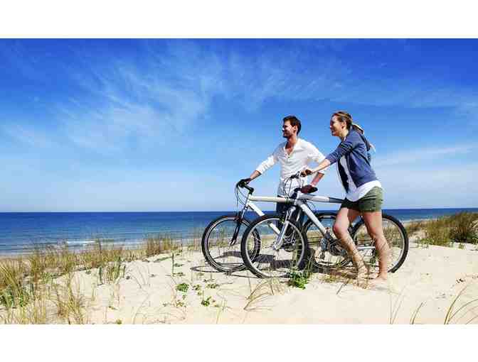 Guided Bicycle Tour of San Francisco for 4