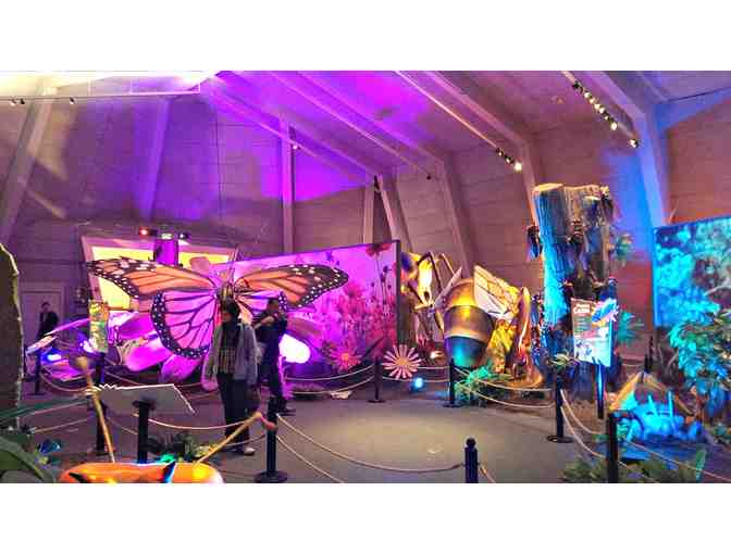 Family Guest Pass to Lawrence Hall of Science