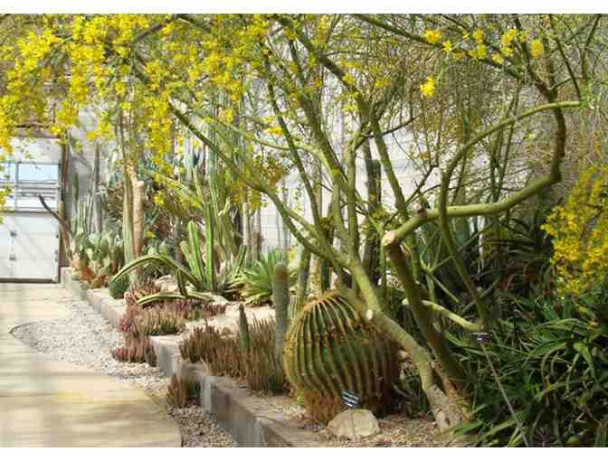 Family 4-Pack to the Living Desert Zoo & Gardens