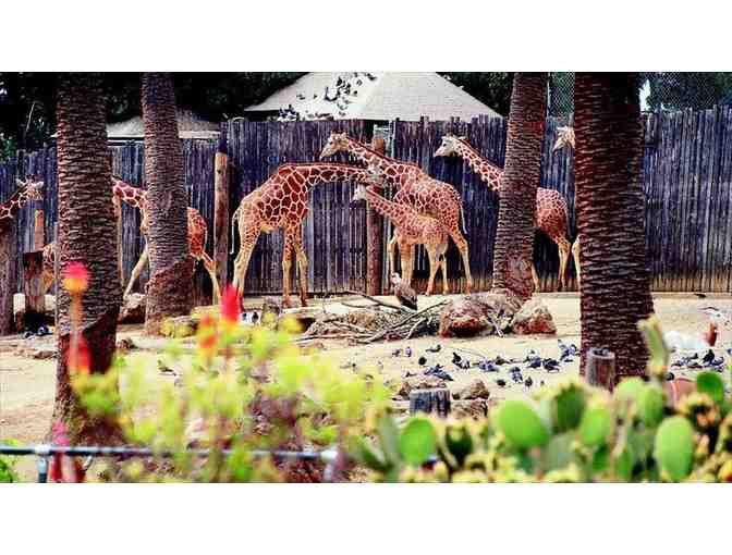 Family Day Pass to the Oakland Zoo and Free Parking