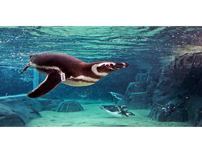 2 Tickets to Aquarium of the Pacific