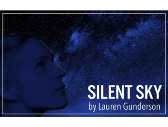 2 Passes to City Lights Theater Company