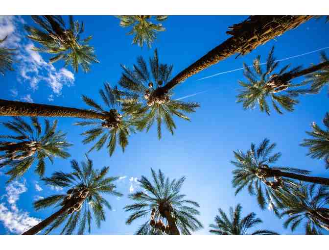 7 Nights in Sunny Coachella Valley