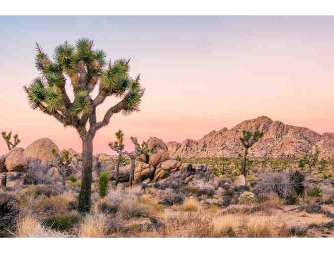 7 Nights in Sunny Coachella Valley