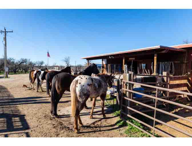 AllInclusive Ranch Getaway in Benson, AZ!