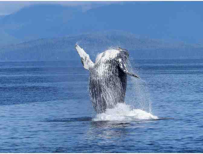 3 Nights in San Diego with Whale Cruise!