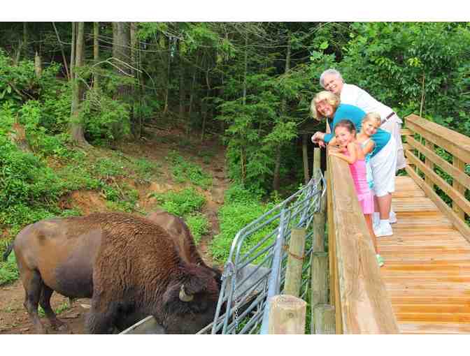 Family Trip to a Smoky Mountain Ranch!