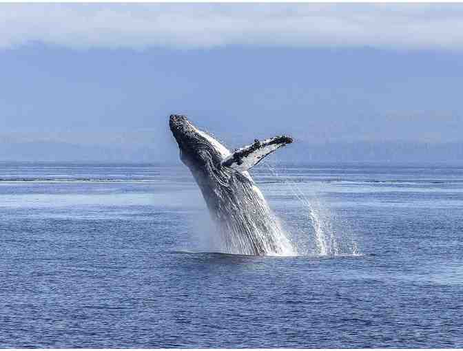 Pacific Coast Getaway with Whale Cruise