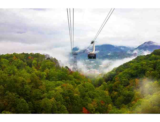 The Smokies & More! 7-Night Resort Stay