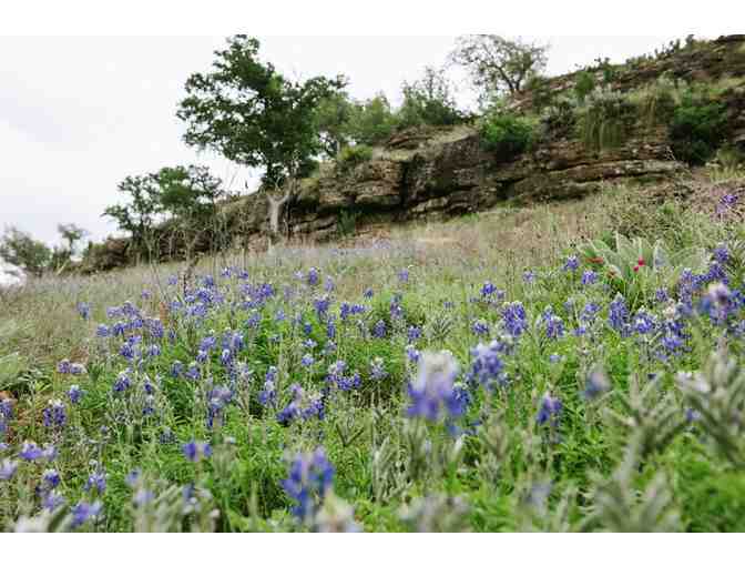 2 Nights Glamping in Texas Hill Country!