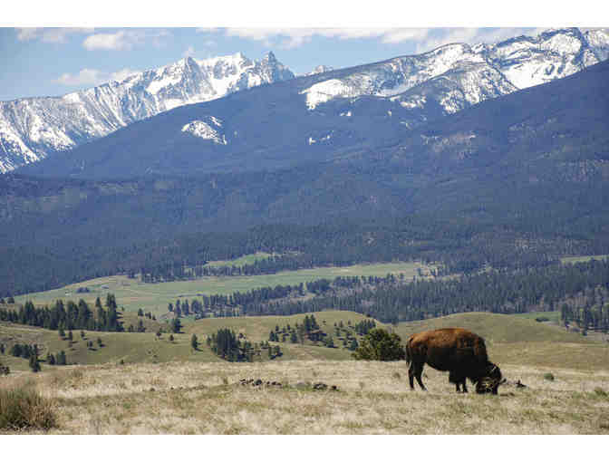 Meet Me in Montana: Triple Creek Ranch 3 Night Stay for 2