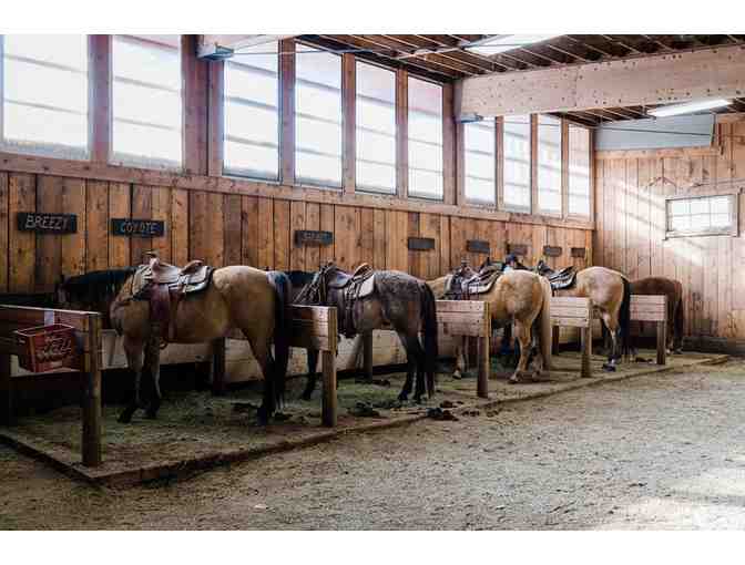 Bunk and Breakfast at Colorado Ranch - Photo 9