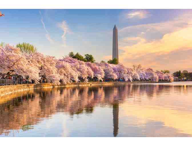 2-Night Stay + DC Monuments Bike Tour - Photo 3