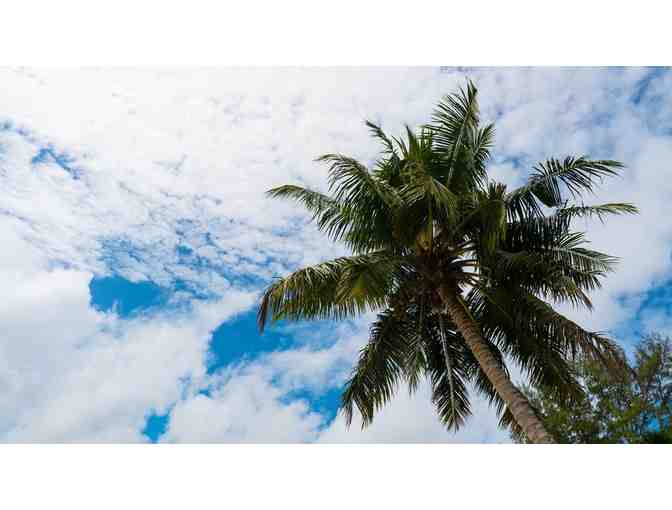 Cruise in the Garden of Eden, Seychelles