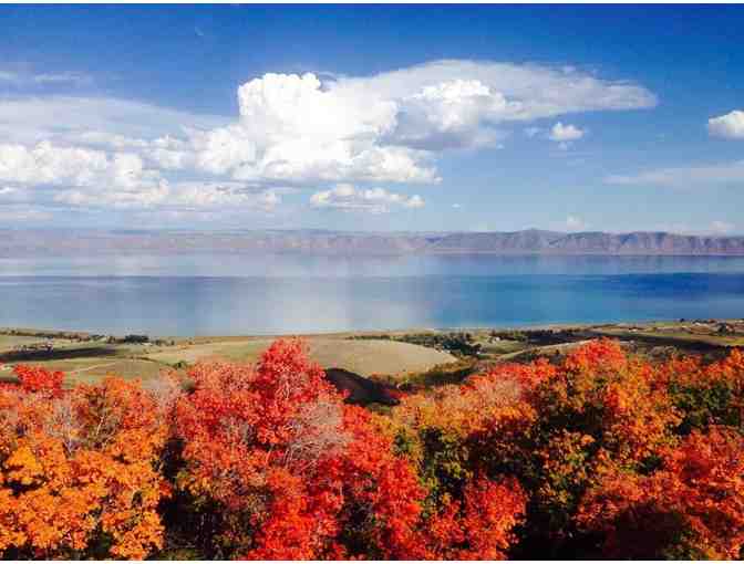 Family Yurt Getaway in Beautiful Bear Lake - Photo 3