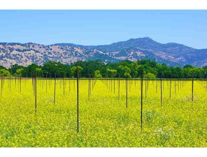 California Wine Country Getaway with Tour! - Photo 7