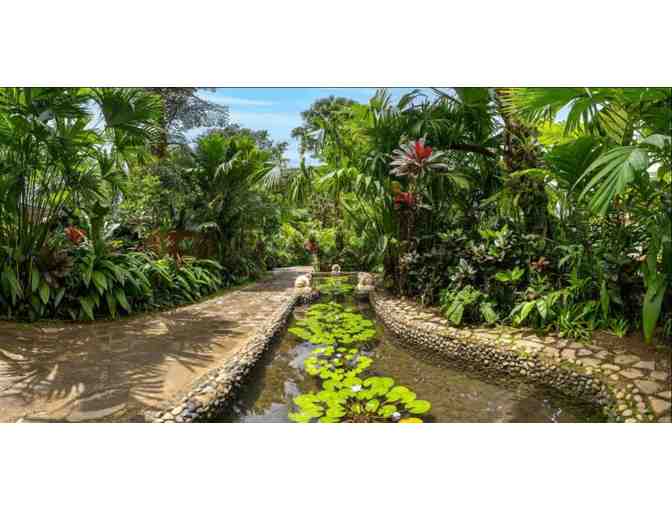 Costa Rica Rainforest Experience