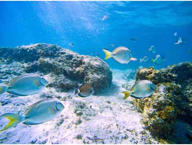 Choose Your 4-Night All-Inclusive Getaway