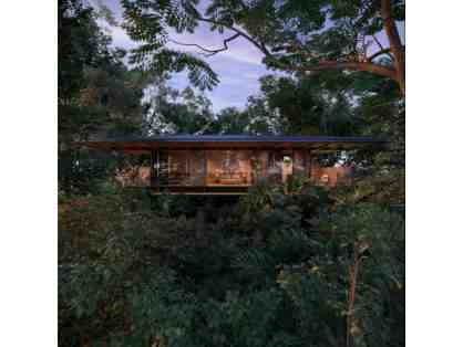 Costa Rica Rainforest Experience