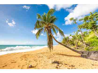 Golf Resort Getaway! Puerto Rico or Hawaii