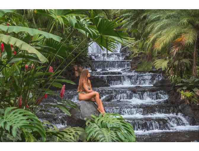 Costa Rica Rainforest Experience - Photo 3