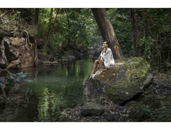 Costa Rica Rainforest Experience - Photo 9