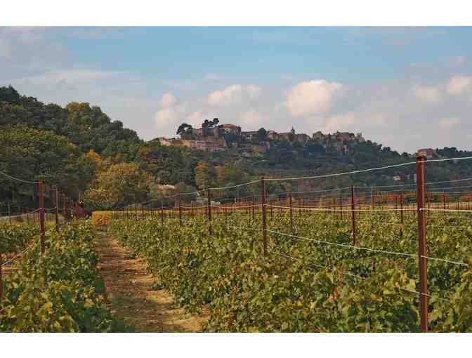 VIEWS OF VAN GOGH - Photo 2