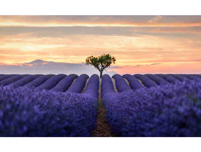 VIEWS OF VAN GOGH - Photo 3