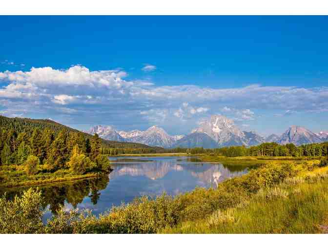 3 Nights in Jackson Hole + Wildlife Safari