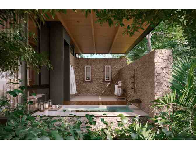 Costa Rica Rainforest Experience - Photo 2