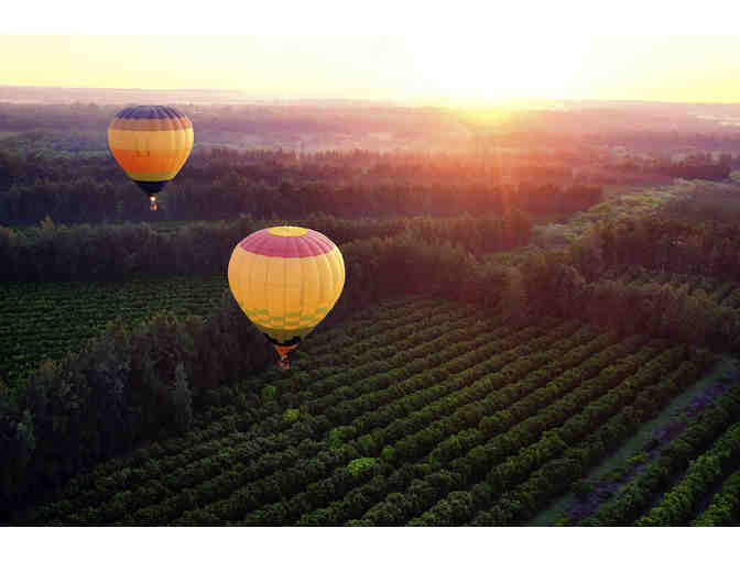 Napa Valley Sky - Photo 6