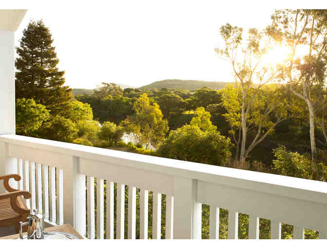 Napa Valley Sky - Photo 7